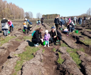Akcja Grudziądzanie sadzą las!