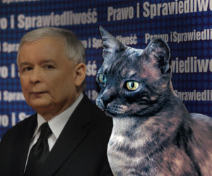 Jarosław Kaczyński z Alikiem