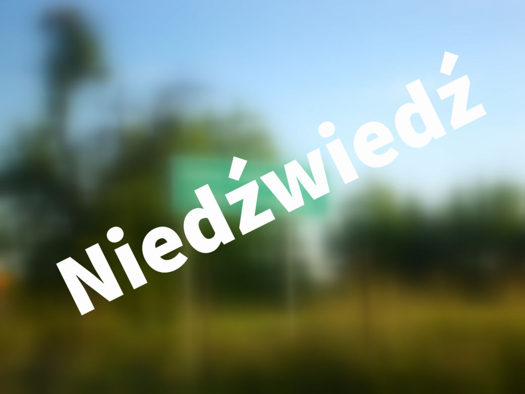 Niedźwiedź
