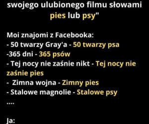 Dzień Psa 2026. Te memy pisało samo życie!