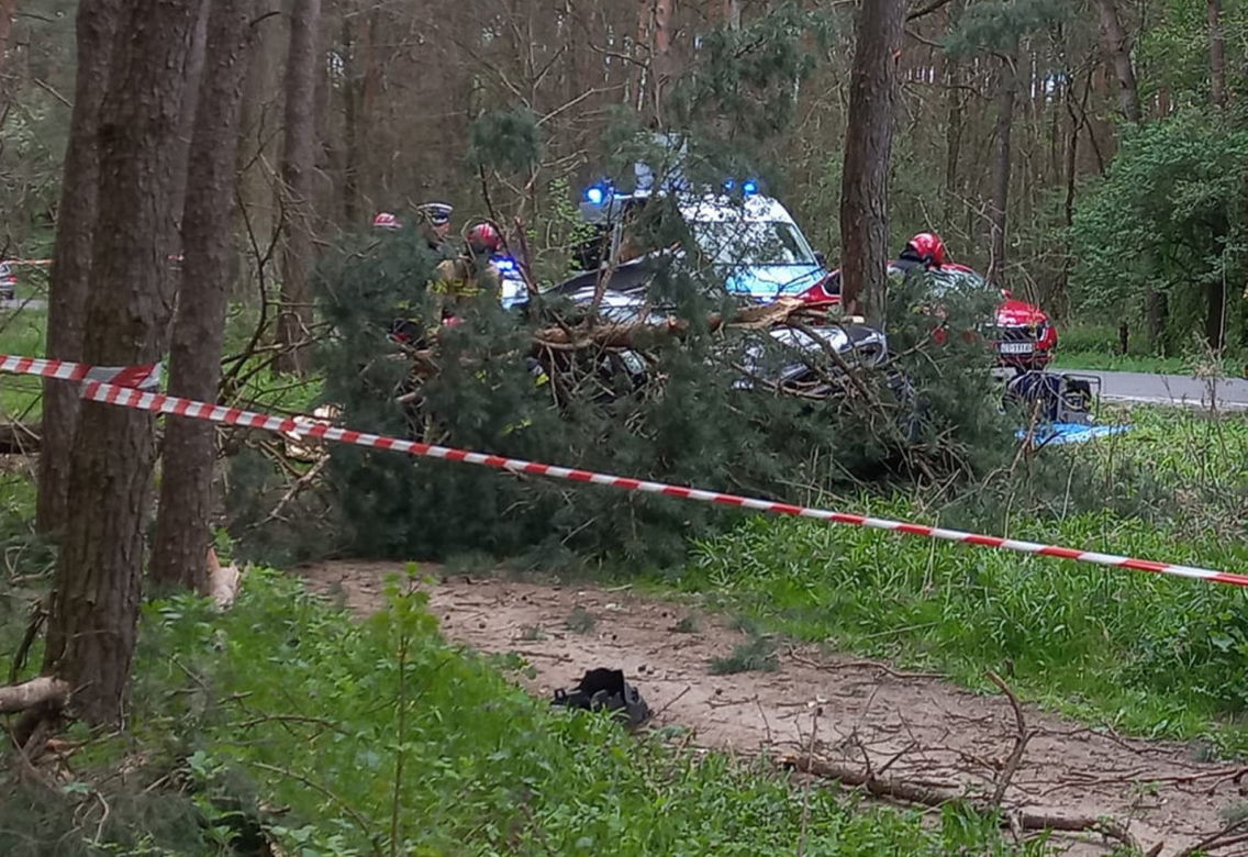 Śmiertelny wypadek pod Toruniem! 36-latek z citroena nie żyje 
