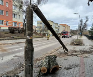 Szkody po Orkanie Eunice. Zrywało dachy, wyrywało grube drzewa, brakowało prądu