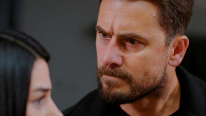 Miłość i nadzieja, odcinek 336. Kuzey, Bahar