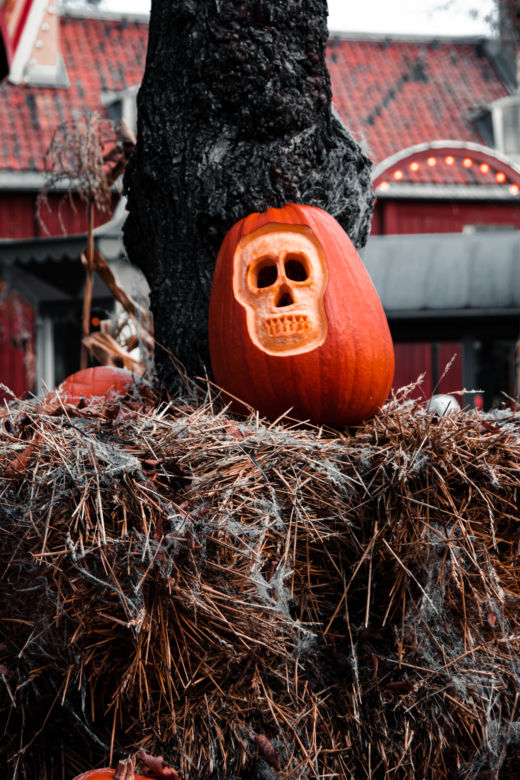 Halloween 2022