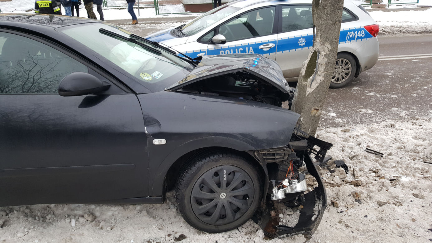 Białystok. Wypadek na Wiewiórczej. Seat uderzył w słup