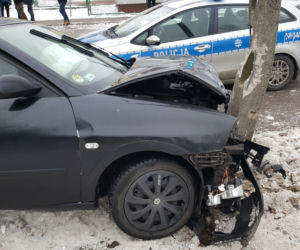 Białystok. Wypadek na Wiewiórczej. Seat uderzył w słup