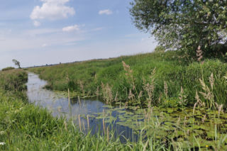 Pomimo intensywnych opadów, wody w rzekach brakuje. To poważny problem! 