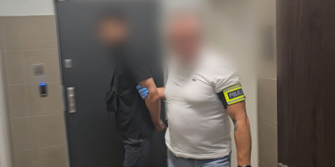 Zasnęła na tylnym siedzeniu taksówki. Obudziła się w zaroślach z kierowcą!