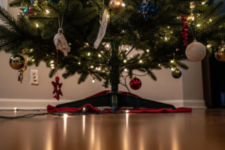 Choinka w domu z pupilem. Jakie świąteczne dekoracje mogą zagrozić Twojemu zwierzakowi?