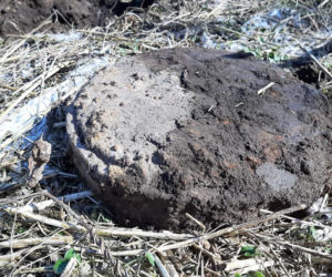 Niebezpieczne znalezisko w lesie koło Gniezna. Interweniowali saperzy 