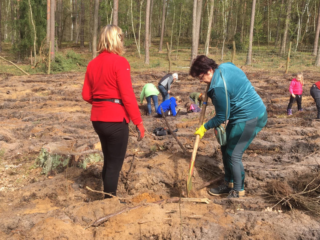 Akcja "Grudziądzanie sadzą las" 2024