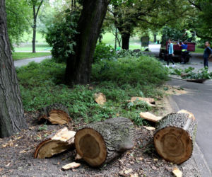 Warszawscy urzędnicy przed sądem 