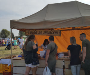 Święto Śliwki w Strzelcach Dolnych