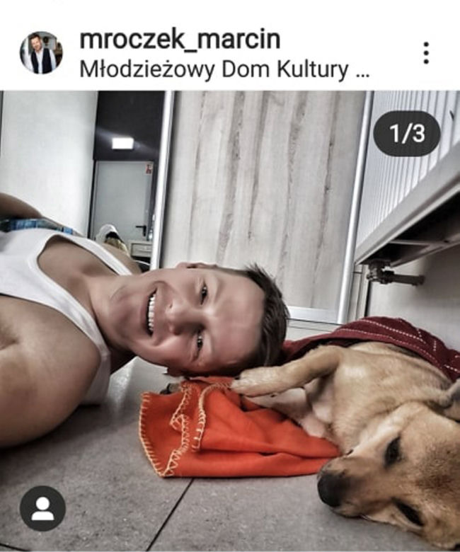 Kto przygarnie pieska?