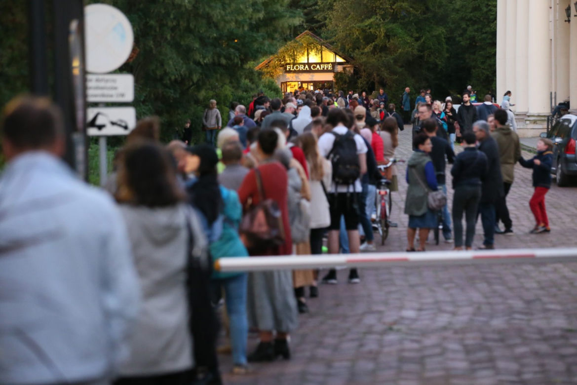 Dziwidło olbrzymie kwitnie tylko dzień