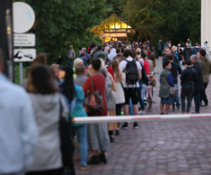 Kwiat gigant zakwitł w Warszawie