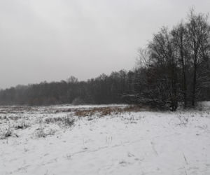 Jezioro Rusałka w zimowej aurze