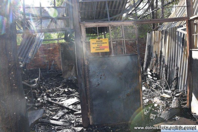 Ogień, pościg i szokujące słowa. Podpalacz z Legnicy terroryzował miasto! "Miałem władzę