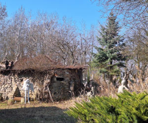 Surrealistyczne rzeźby zdobią ogród. Budzą niepokój i ciekawość