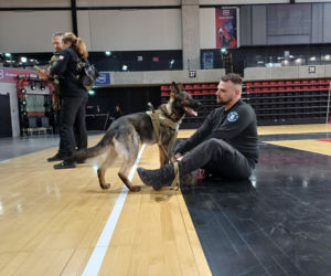Psy służbowe, szkolenia i strefa pierwszej pomocy. Trwa drugi dzień CERBERUS K9 w Ostrowie