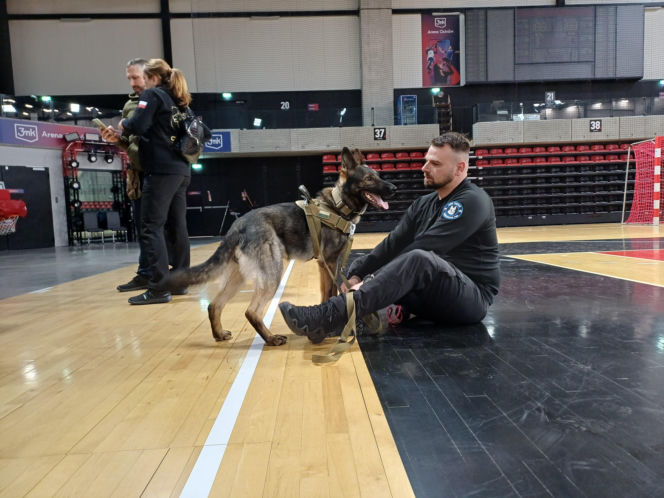 Psy służbowe, szkolenia i strefa pierwszej pomocy. Trwa drugi dzień CERBERUS K9 w Ostrowie