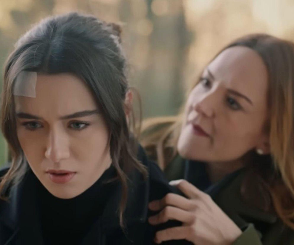 Wichrowe wzgórze, odcinek 362