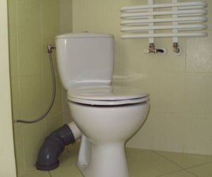 Zdjęcie 7232