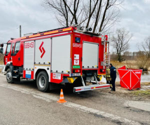 Makabryczne odkrycie pod Warszawą. Z bagna wyłowili zwłoki mężczyzny