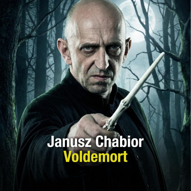 Harry Potter Polska Obsada