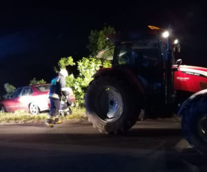 Pies wyskoczył wprost pod koła BMW. Matka z dziećmi zjechała do rowu [ZDJĘCIA]