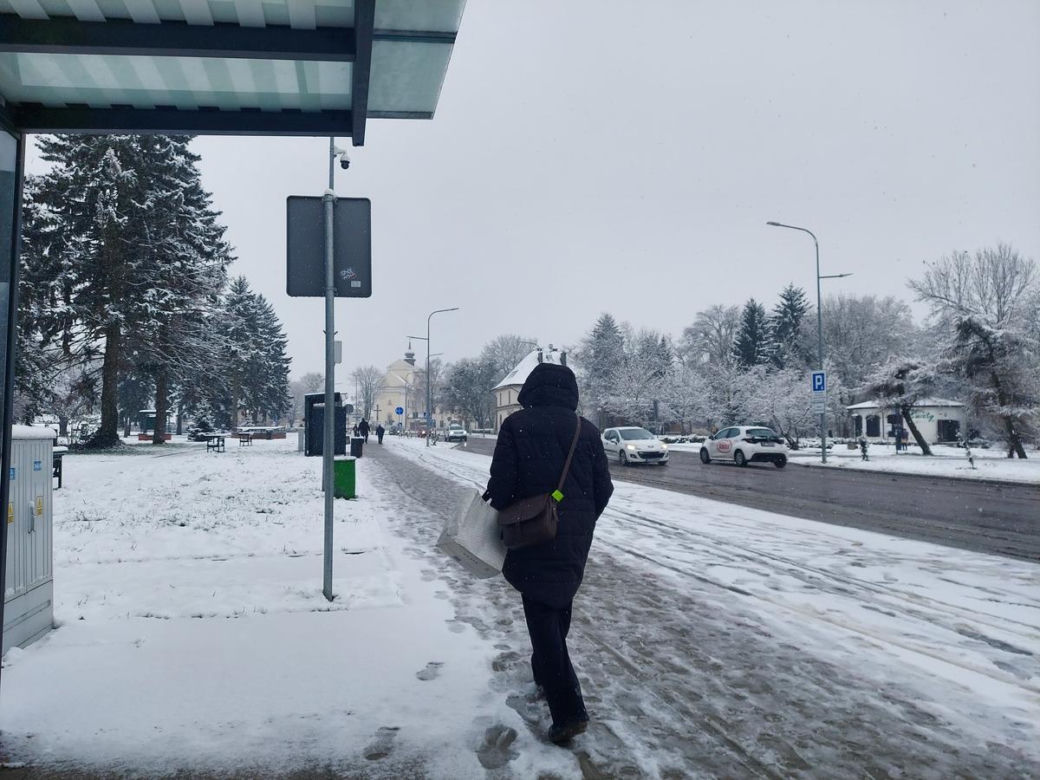 Zima w kwietniowym Zamościu. Sypnęło śniegiem