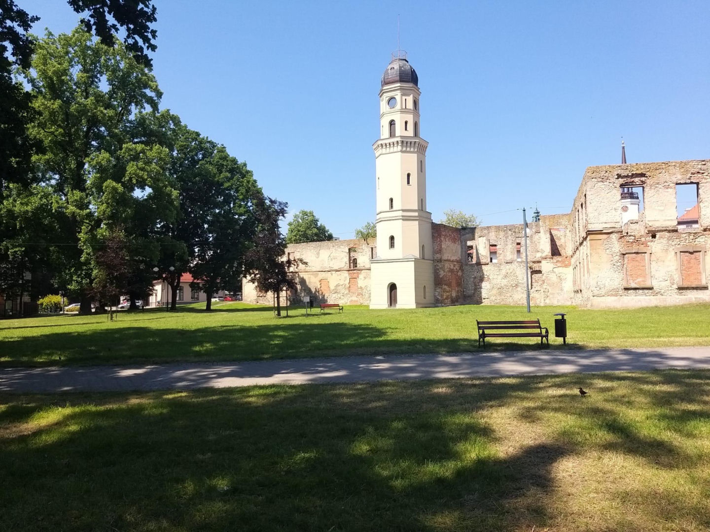 Zamek w Strzelcach Opolskich