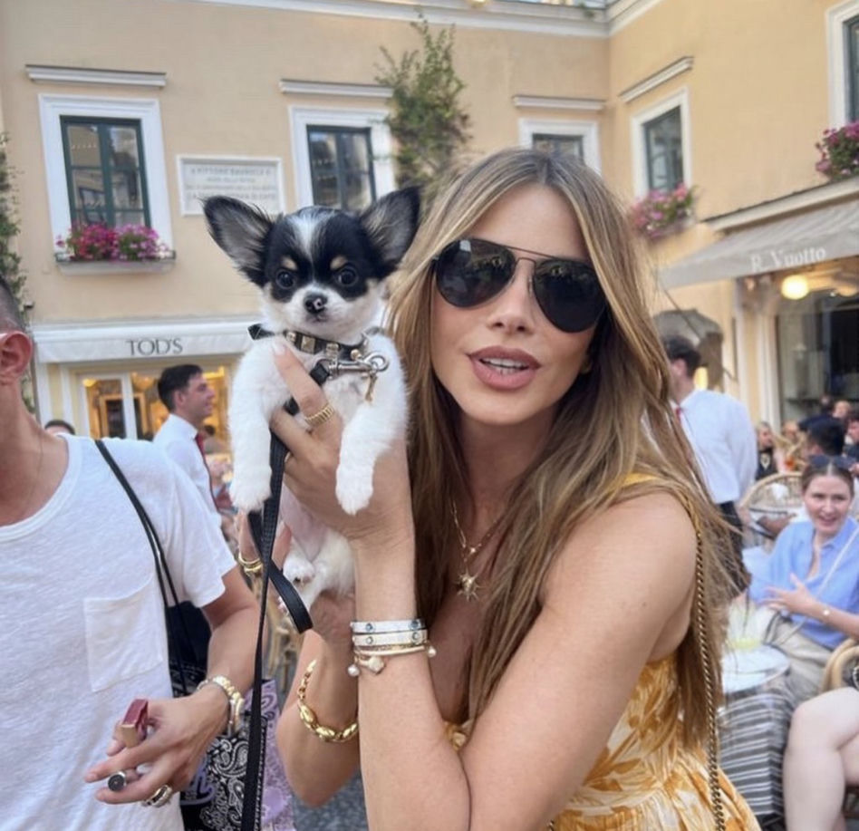  Tom Cruise uwodzi seksbombę! Sofia Vergara już w miłosnych sidłach