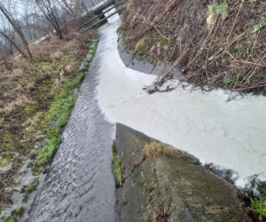 Woda w łódzkiej Olechówce ZOSTAŁA ZATRUTA! Odkryto, kto to zrobił!