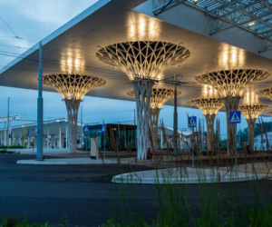 Tak wygląda polski Singapur. Zachwycają się nim zagraniczni turyści