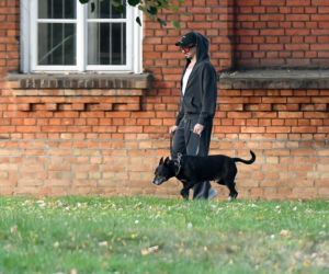 Luksusowe życie psa Michała Szpaka