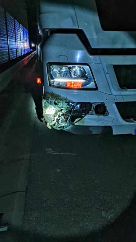 Dziki doprowadziły do karambolu na A4
