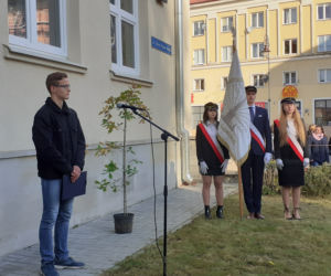 Zostawili listy potomnym i zasadzili drzewo. Święto Drzewa w Lublinie [GALERIA]