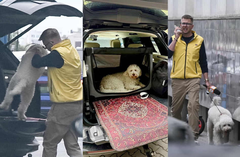 Chajzer kupił luksusowe auto dla psa