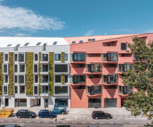 Wąskie Grono. Projekt: pracownia Litoborski + Partnerzy