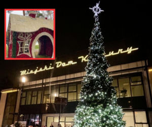 Świąteczny sabotaż w Myszkowie. Złodziej ukradł oświetlenie