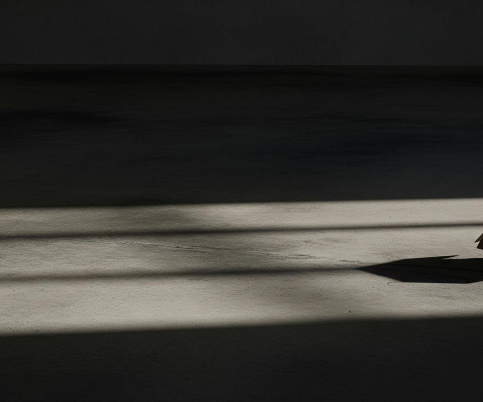 Pusta tekturowa skrzynka o jasnobrązowym kolorze stoi na ciemnoszarej, betonowej posadzce w prawym dolnym rogu. Wieko jest otwarte, a wewnątrz widoczne są dodatkowe elementy tektury. Na podłodze widoczne są długie, równoległe pasma światła i cienia, tworzące kontrastujący wzór. Cienie padają od górnej lewej strony, przecinając podłogę pod lekkim kątem, a za pudełkiem również znajduje się wyraźny cień. Reszta pomieszczenia, w tym ściana w tle, jest pogrążona w ciemności.