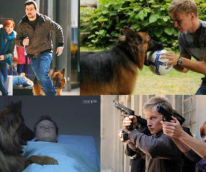 KOMISARZ ALEX 3 sezon. Michał Orlicz (Antoni Pawlicki), Lucyna Szmidt (Magdalena Walach), Marek Bromski (Jakub Wesołowski)