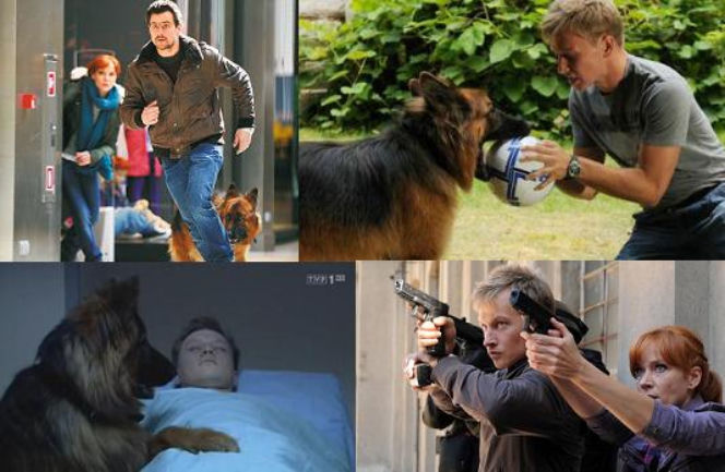 KOMISARZ ALEX 3 sezon. Michał Orlicz (Antoni Pawlicki), Lucyna Szmidt (Magdalena Walach), Marek Bromski (Jakub Wesołowski)