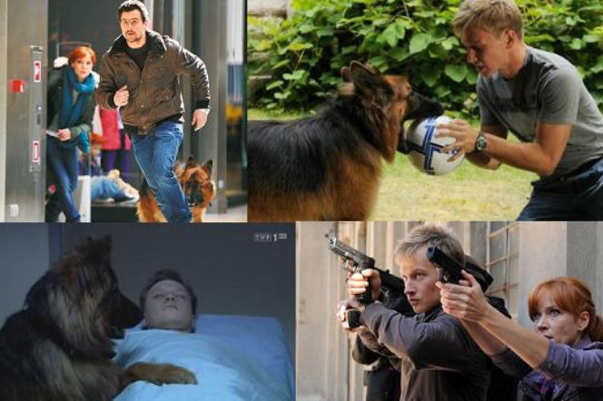 KOMISARZ ALEX 3 sezon. Michał Orlicz (Antoni Pawlicki), Lucyna Szmidt (Magdalena Walach), Marek Bromski (Jakub Wesołowski)