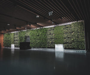 Egzotarium w Sosnowcu