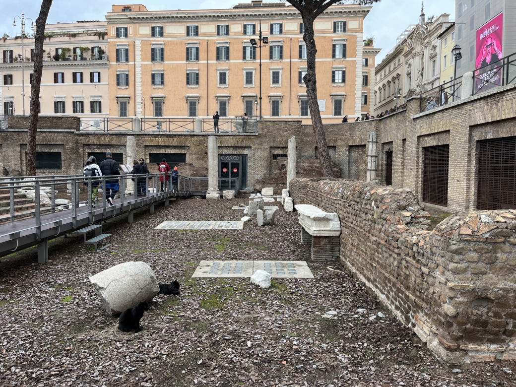 Largo Argentina w Rzymie. Koty zamieszkały w starożytnych ruinach - zobacz zdjęcia