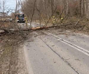 Zerwane dachy, powalone drzewa i prawie 11 tysięcy odbiorców bez prądu!