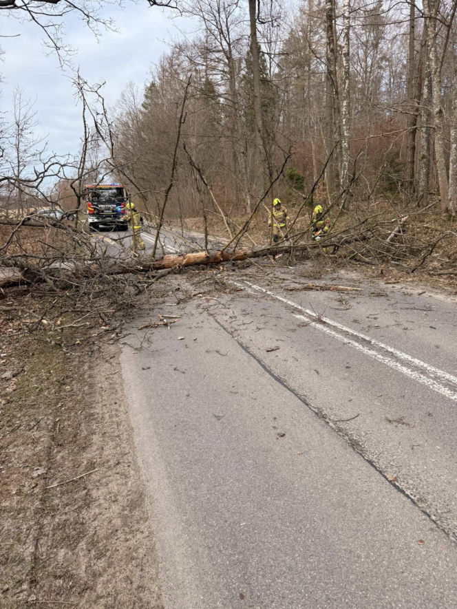 Zerwane dachy, powalone drzewa i prawie 11 tysięcy odbiorców bez prądu!