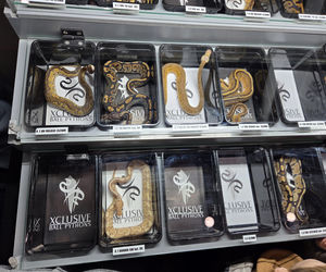 Egzotyczny świat zawitał do Bydgoszczy! Pająki i węże były na wyciągnięcie ręki